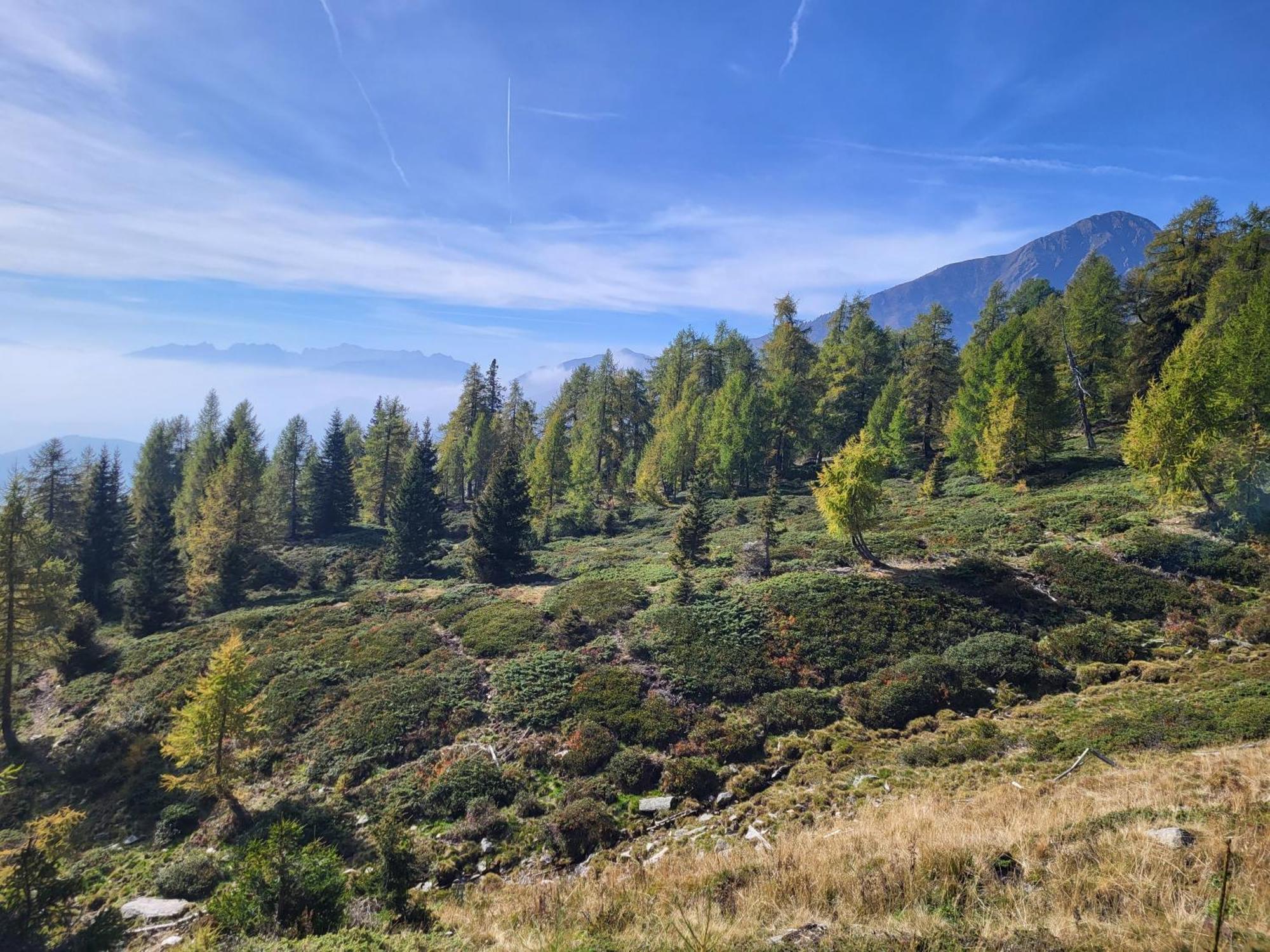Natur Pur Hotel Unterpichl Ультимо Экстерьер фото